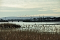 16 01 16_0663_edited-1